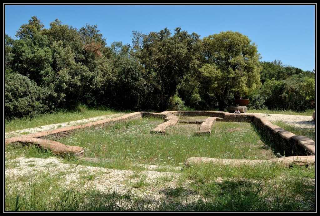 La Pineta di Castelfusano, la Via Severiana e la Villa di Plinio